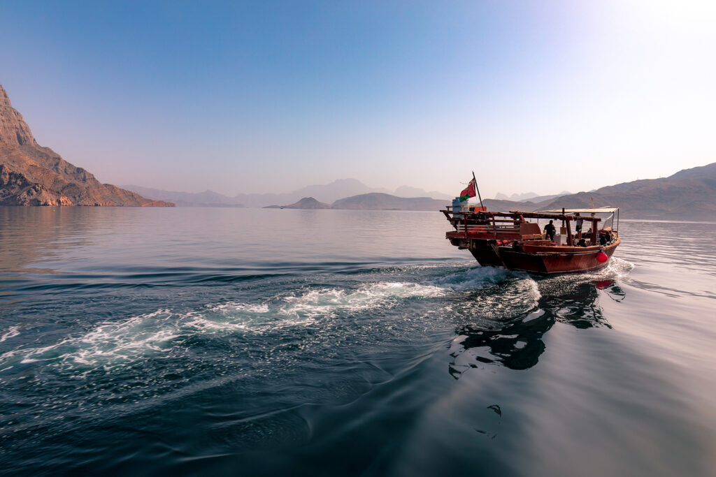 Dolphins in Musandam in Oman next to a dhow boat cruise