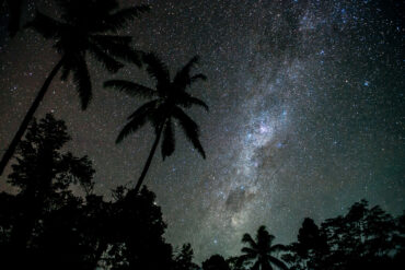 Stars over palm trees