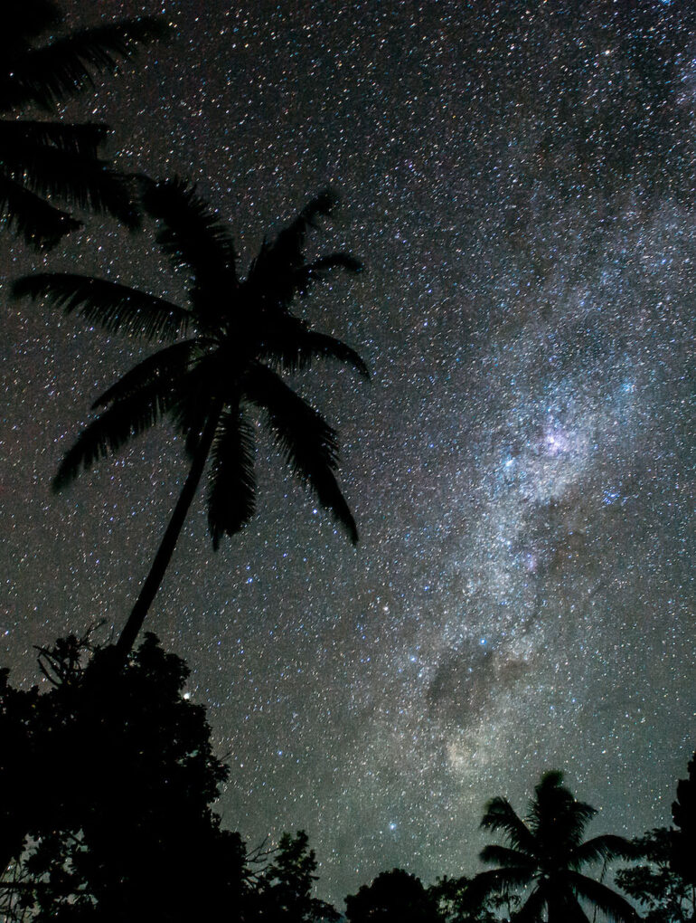 Stars over palm trees